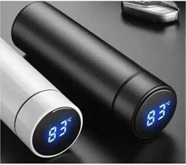Stainless Steel Insulated Water Bottle